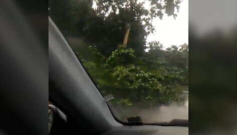 15min-skaitytojai-nufilmavo-vilniu-po-pirmadienio-liuties