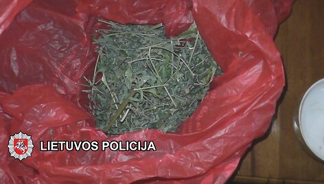 Sulaikyti įkalčiai