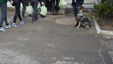 Įkalinimo įstaigų patikrinimas su tarnybiniais šunimis