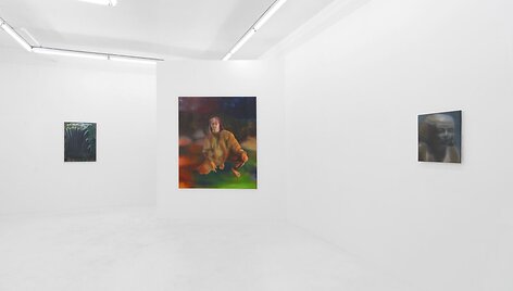 Lietuvių tapytojos Rūtenės Merk pirmoji personalinė paroda &bdquo;Sprites&ldquo; Niujorko galerijoje &bdquo;Downs & Ross&ldquo;