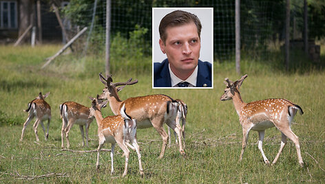 Kęstutis Mažeika