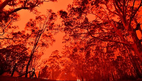 Australijoje &scaron;ėlstantys gaisrai paplūdimiuose įkalino tūkstančius žmonių
