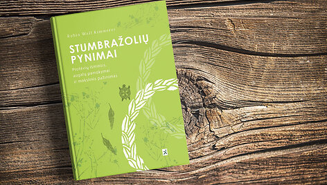 Stumbražolių pynimai