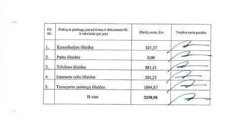 Pateikta ataskaita