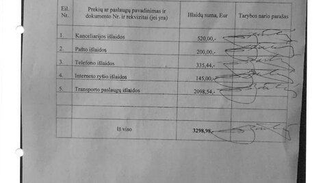 Pateikta ataskaita