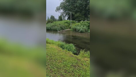 Žiežmarių gyventojas užfiksavo galimą tar&scaron;ą