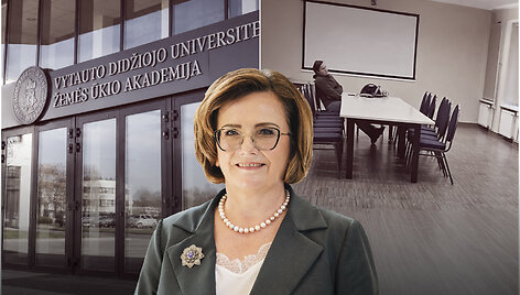 Prorektorė