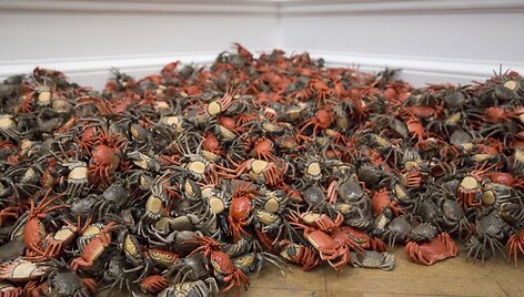 Kinų menininko Ai Weiwei darbų paroda Londone