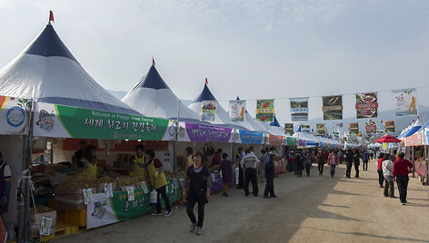  „Punggi Insam“ festivalis ir rudens gėrybių mugė Pietų Korėjoje