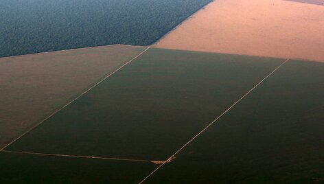 I&scaron;kirstų atogrąžų mi&scaron;kų plotai paruo&scaron;ti sojų pupelių plantacijoms