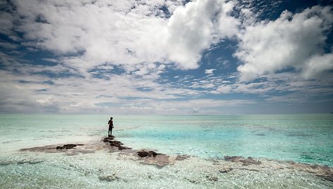 Toau koralinio atolo gamta 