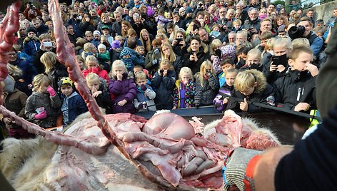 Danijos zoologijos sode skrodžiama liūtė