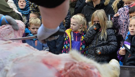 Danijos zoologijos sode skrodžiama liūtė