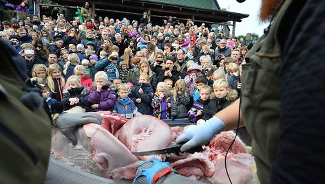 Danijos zoologijos sode skrodžiama liūtė