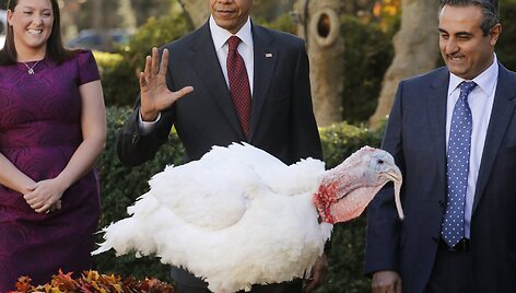 Padėkos dienos i&scaron;vakarėse JAV prezidentas Obama suteikė malonę kalakutams