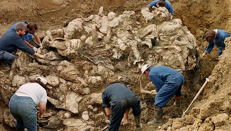 Bosnijos karo nusikaltimai
