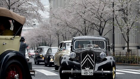 Japonijos klasikinių automobilių festivalis Tokijuje