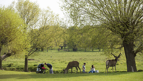 Vasari&scaron;ka &scaron;iluma Londono Ričmondo parke