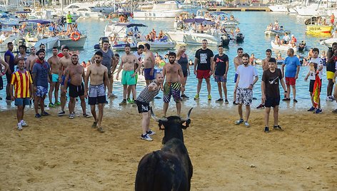 Festivalis „Bous a la mar“ Alikantėje