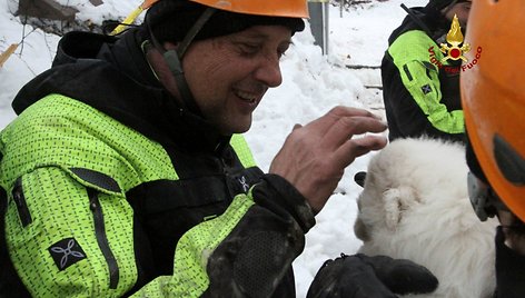 Italijos gelbėtojai lavinos palaidotame viešbutyje rado tris gyvus šuniukus