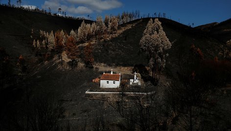 Juodi Portugalijos peizažai po miško gaisrų