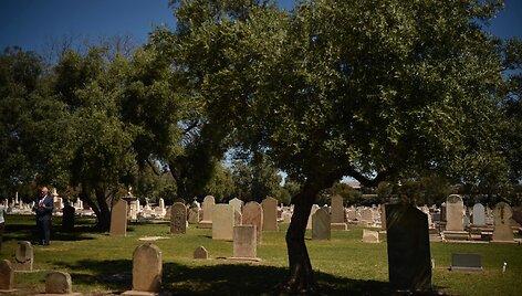 Adelaidės miesto senosiose Vesteraso kapinėse parduodamas aliejus