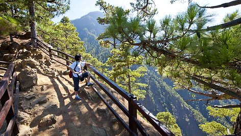 Kvapą gniaužiantis „Caldera de Taburiente” nacionalinis parkas La Palmos saloje