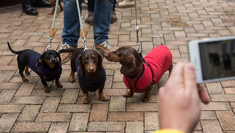 Kinijoje vyko taksų eitynės „Sausage walk“