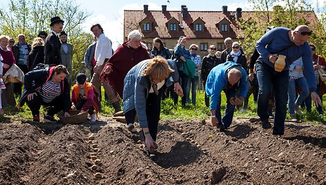 Pakruojo dvaro vasaros sezono atidaryme &ndash; sunkiųjų Lietuvos arklių varžybos