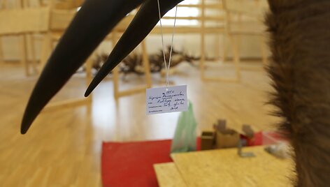 Raudondvaryje &ndash; grandiozinė medžioklės trofėjų paroda