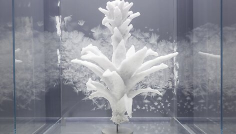 Julian Charri&egrave;re &bdquo;Tropisme&ldquo; 2015 m.