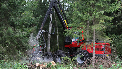 Miškų savininkai nuolatos stebi miškų būklę, saugo juos nuo žvėrių, vabzdžių, ligų ir gaisro, atkuria, ir įveisia iškirstus plotus bei veisia jaunuolynus.