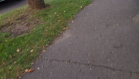 Įvykis Tvirtovės alėjos ir Sukilėlių prospekto sankryžoje