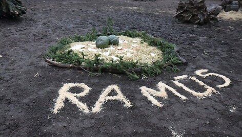 Stumbrų &scaron;eimyna Lietuvos zoologijos sode