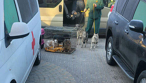 Kelionė humanitariniu autobusu, vežančiu pabėgėlius i&scaron; Lvivo