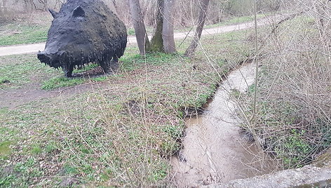 Sklypas Virbaliūnuose, dėl kurio aplinkosauga pradėjo tyrimą