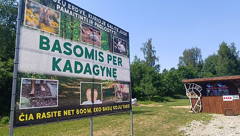 Basų kojų takas šalia Kadagių slėnio