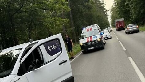 Kauno rajone paramedikai ir policija gelbėjo keliu įėjusį arklį