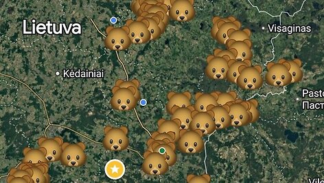 Ignalinos gatvėse per Kalėdas pasirodė me&scaron;ka