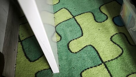 Vieną Kauno daugiabutį užpuolė straubliukai &ndash; priežastis nustebino visus