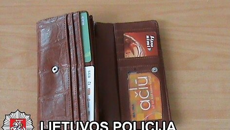 Ki&scaron;envagės grobis