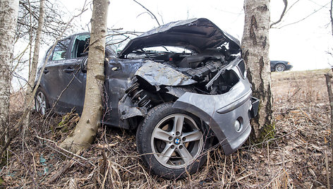 Vilkiko kliudytas BMW automobilis nulėkė nuo kelio