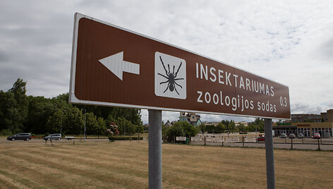 Uždarytas Insektariumas Palangoje