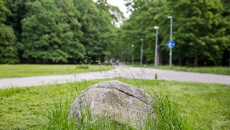 Kauno ąžuolyno parkas