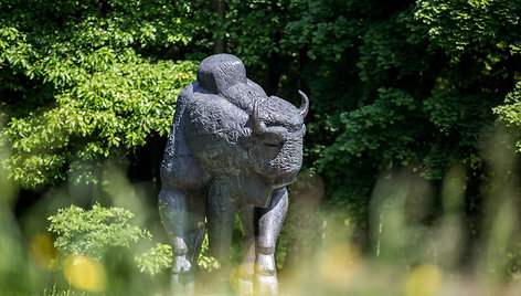 Kauno ąžuolyno parkas