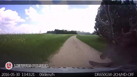 kamera-uzfiksavo-kaip-elnias-trenkesi-i-policijos-automobili