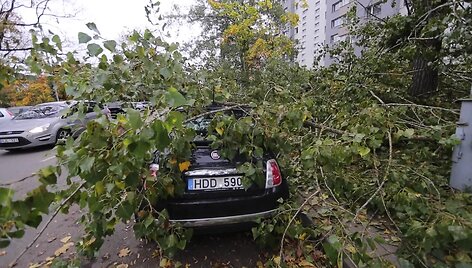 stiprus-vejas-vercia-medzius-vilnietei-apgadino-automobili