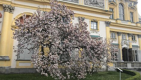 Kelionės po Var&scaron;uvą akimirka