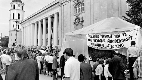 1988 m. rugpjūčio 23 d. Sąjūdžio mitingas Vingio parke