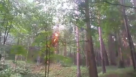 5b5f5775837c6video_5b5f577301c91